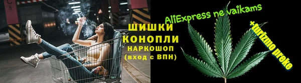 крисы Анива
