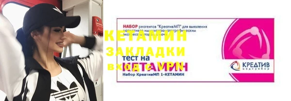 крисы Анива