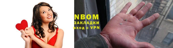 крисы Анива