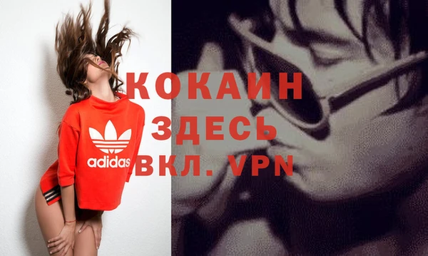 крисы Анива