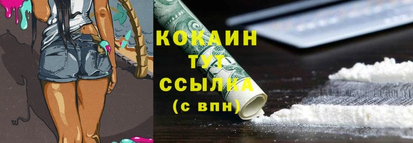 крисы Анива