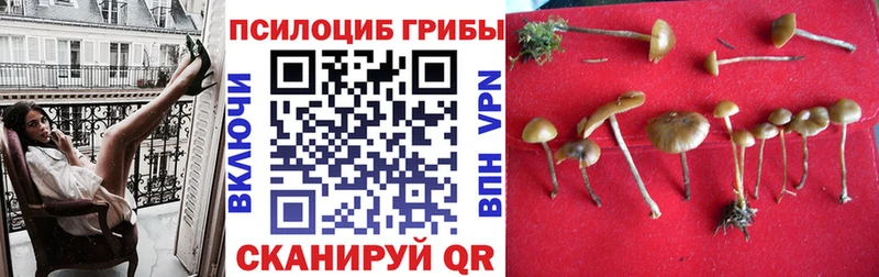 Галлюциногенные грибы MAGIC MUSHROOMS  Вилюйск 